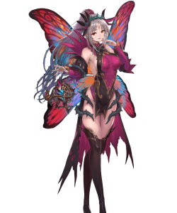 プルメリア の画像